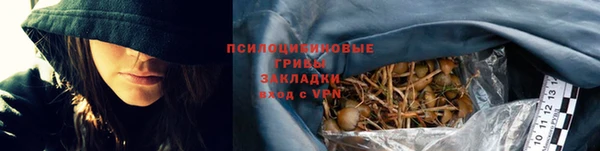 СК Верея